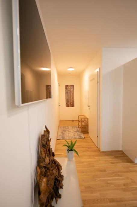 Schoenes Living Am Donauufer เวียนนา ภายนอก รูปภาพ